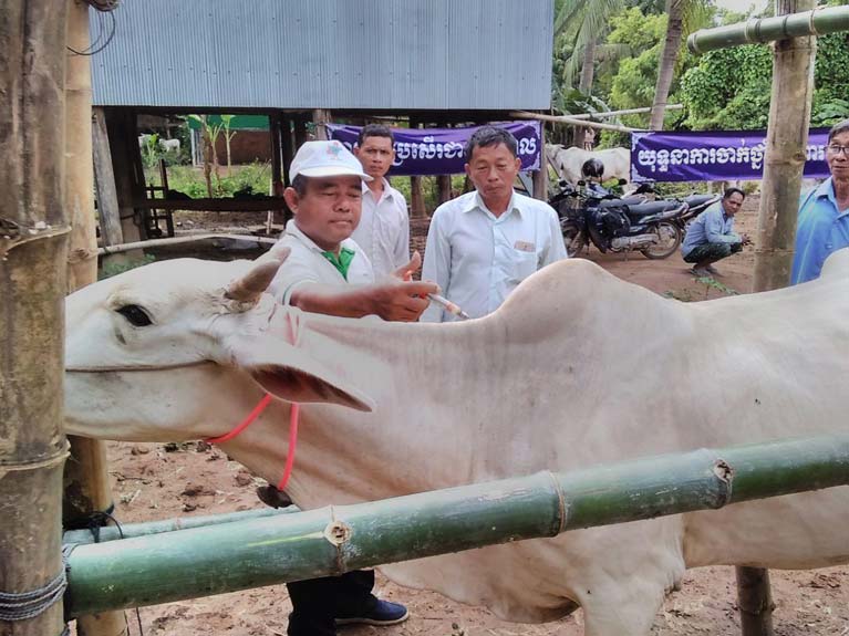 យុទ្ធនាការ​ចាក់​វ៉ាក់សាំង​ការពារ​ជំងឺសារ​ទឹក​ក្នុងស្រុក​ក្រូចឆ្មារ​