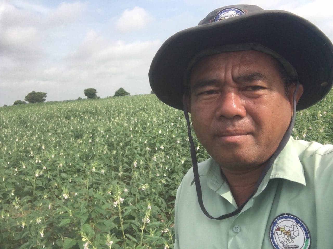 ​អ្នកស្រុក​ក្រូចឆ្មា​ដល់​រដូវ​ប្រមូល​ផល​ល្ង​