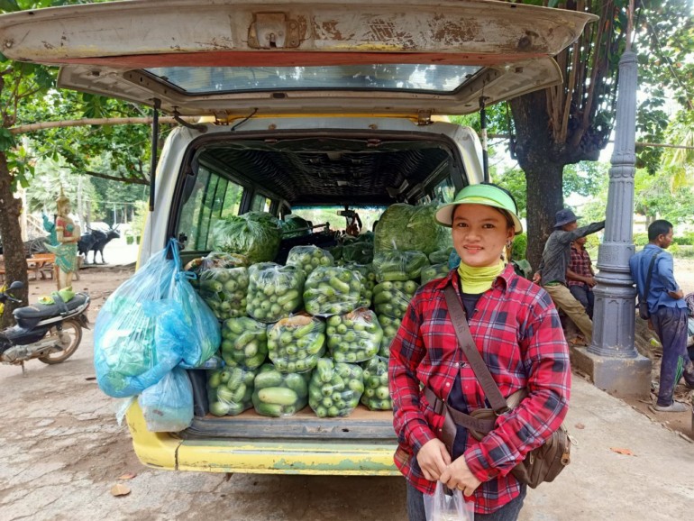 ដោយសារ​មាន​ទីផ្សារ​ទើប​កសិករ​យើង​បន្ត​ដាំ​ត្រឡាច​